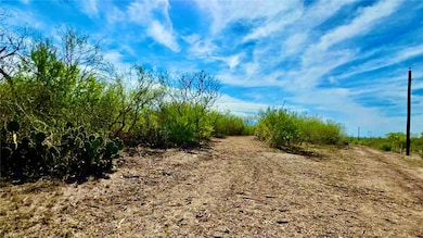 0 0 County Road 107 unit 468634, Runge, TX 78151 - photo 6