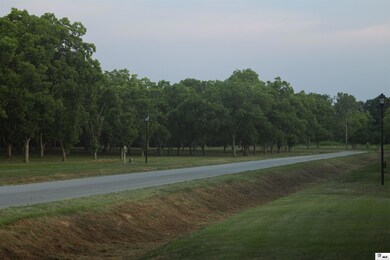 123 Aidan Ln, Sterlington, LA 71203 - photo 3