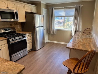 198 Drake Ln unit 198, Ledgewood, NJ 07852 - photo 4