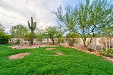 VE Back Yard