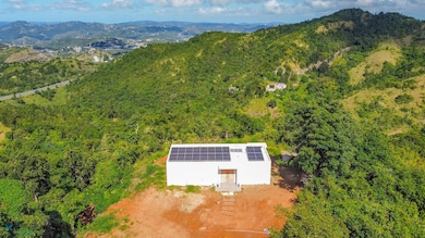 1 Carretera 7737 unit 1, Cayey, PR 00736 - photo 4