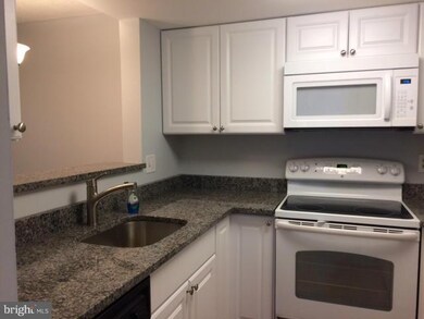 Thoreau Place Condominiums unit 415, Reston, VA 20191 - photo 2