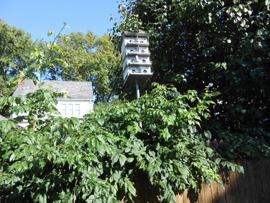 PRIVATE BACK YARD