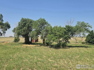 7926 County Road P 2, Wiggins, CO 80654 - photo 4