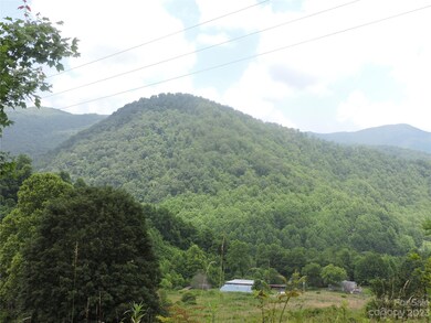 TBD Green Leaf Rd, Burnsville, NC 28714 - photo 6