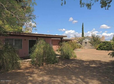 Back yard
