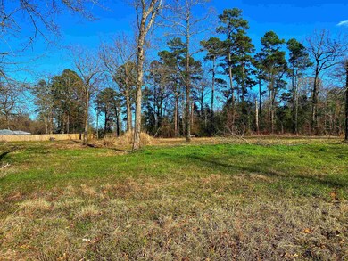 Lot 25 W Lake Rd, Texarkana, TX 75501 - photo 2