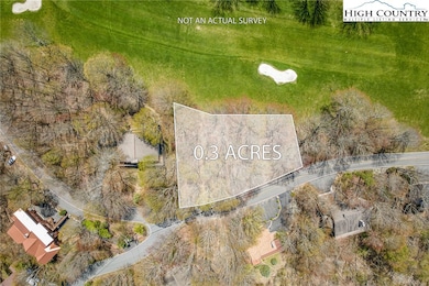 201 Grassy Gap Loop Rd, Beech Mountain, NC 28604 - photo 6