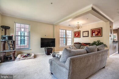 723 Massey Ln unit B, Alexandria, VA 22314 - photo 3