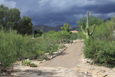 Driveway to home