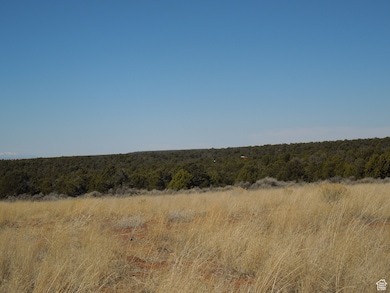 20 W Sunrise Country Rd unit 20, Monticello, UT 84535 - photo 2