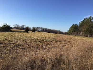 348 Collins Farm Rd, Dry Fork, VA 24549 - photo 4