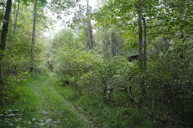 0 Tbd Bryson Cove Rd unit LotWP001, Abingdon, VA 24210 - photo 4