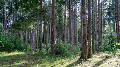 18435 Blue Hills Loop SE, Yelm, WA 98597 - photo 7