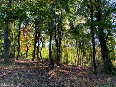 0 Fiery Run Rd unit VAFQ2005770, Linden, VA 22642 - photo 3