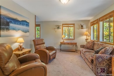 1239 Gcr 49, Grand Lake, CO 80447 - photo 2