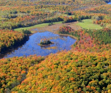 63999 Wolanek Rd unit 313 acres, Marengo, WI 54855 - photo 4