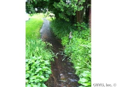 Yard/Garden