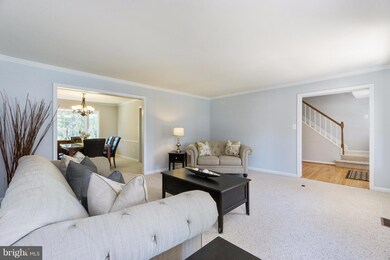 13465 Stream Valley Dr, Chantilly, VA 20151 - photo 7