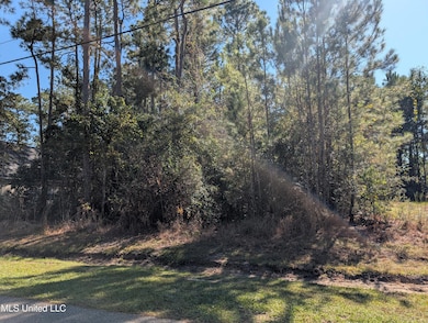 7311 Ieke Cir, Diamondhead, MS 39525 - photo 5