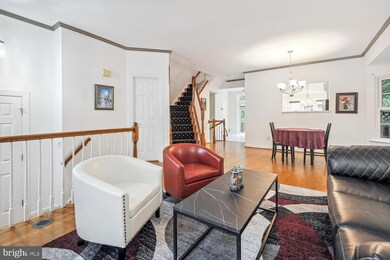 3633 Ransom Place, Alexandria, VA 22306 - photo 4