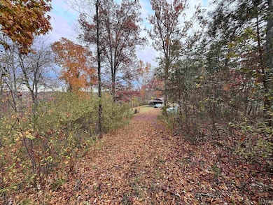 1142 Roscoe Davis Cemetery Rd, Genoa, WV 25517 - photo 5