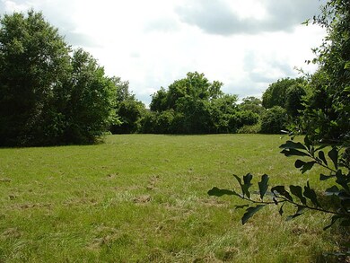 1922 Mills Main Fields Store, Waller, TX 77484 - photo 5