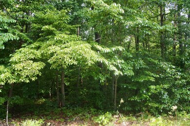 Lot 32 N Shady Lane Loop, Clarkrange, TN 38553 - photo 2