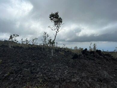 0 Ocean View Pkwy unit 725684, Ocean View, HI 96704 - photo 5
