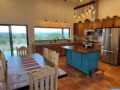 52 Xyz Ranch Rd, Silver City, NM 88061 - photo 5