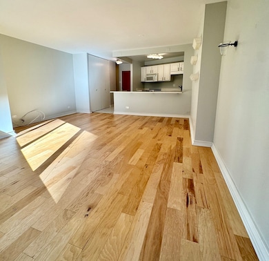 Grand Ohio Condominiums unit 1215, Chicago, IL 60611 - photo 5