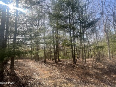 0 Briarcrest Dr, Lackawaxen Township, PA 18428 - photo 7