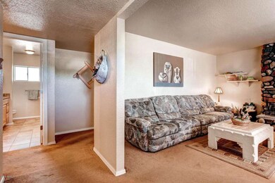 10115 E Jones Ave Mesa AZ-large-006-7-Li