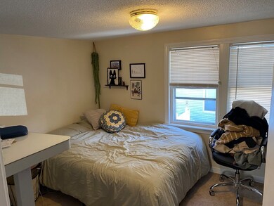 521 Green St, Cambridge, MA 02139 - photo 5