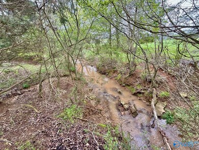 239 Mint Springs Rd unit A, New Market, AL 35761 - photo 6