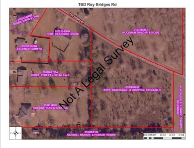 0 Tbd Roy Bridges Rd, Leesville, LA 71446 - photo 3