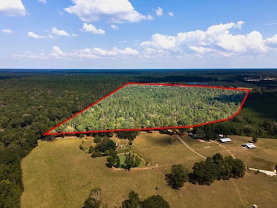 Tbd Cr 2798, Goober Hill, TX 75973 - photo 3