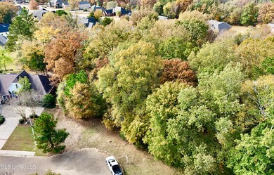 0 Ashton Place unit 4132186, Clinton, MS 39056 - photo 3