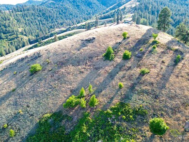 Mountain view featuring a heavily wooded area
