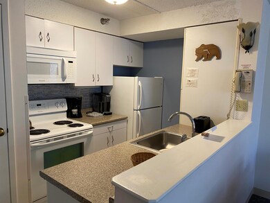 23 Black Bear Rd unit 307, Waterville Valley, NH 03215 - photo 2