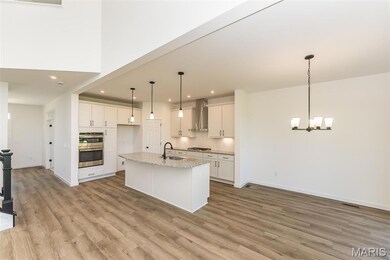 226 Talbot Way, Wentzville, MO 63385 - photo 6