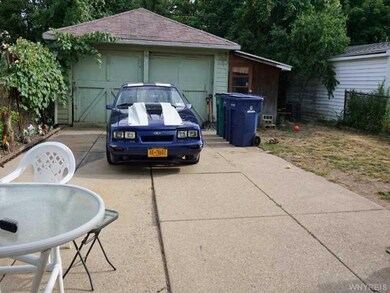 Backyard.