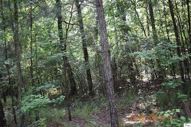 4232 Highway 134, Collinston, LA 71229 - photo 5