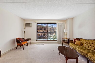 10531 Cedar Lake Rd unit 418, Hopkins, MN 55305 - photo 6