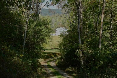 lane to cottage