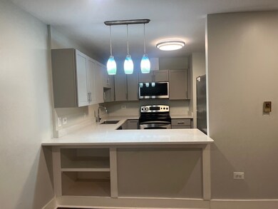 1744 E Oakton St unit 102, Des Plaines, IL 60018 - photo 4