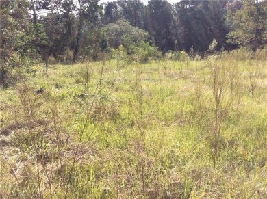 999 Hwy 436 None, Franklinton, LA 70438 - photo 2