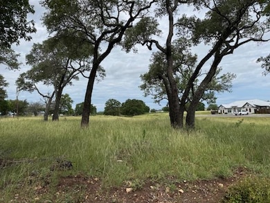 960 S Eagle St unit 4, Fredericksburg, TX 78624 - photo 5