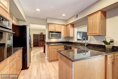 13151 Madonna Ln, Fairfax, VA 22033 - photo 5