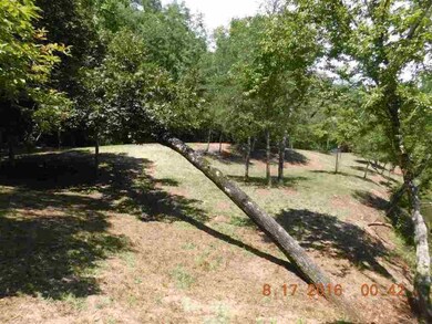 00 Crowe Mountain Rd unit Little River, Walhalla, SC 29691 - photo 7